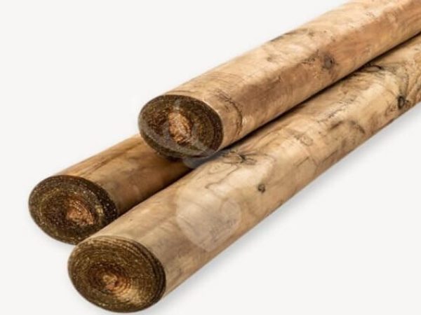 imgi_6_palen-set-620x425